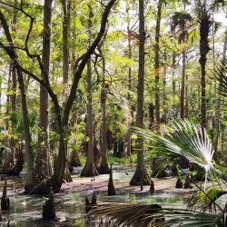 Little Big Econ State Forest - Oviedo