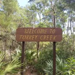 Palm Bay Library - Palm Bay