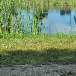 Palm Bay Regional Park - Palm Bay