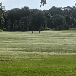 Palm Bay Regional Park - Palm Bay