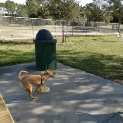 Palm Bay Regional Park - Palm Bay