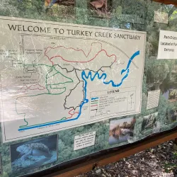 Turkey Creek Sanctuary - Palm Bay