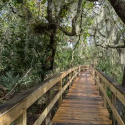 Turkey Creek Sanctuary - Palm Bay