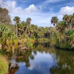 Turkey Creek Sanctuary - Palm Bay