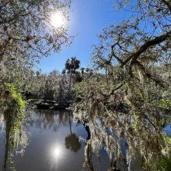 Turkey Creek Sanctuary - Palm Bay