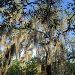 Turkey Creek Sanctuary - Palm Bay