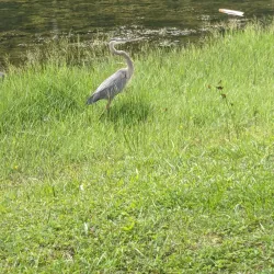 Belle Terre Park - Palm Coast