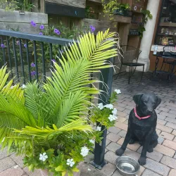 European Village - Palm Coast