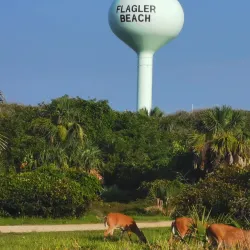 Gamble Rogers Memorial State Recreation Area - Palm Coast