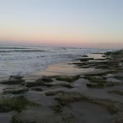 Hammock Dunes Club - Palm Coast