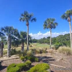 Hammock Dunes Club - Palm Coast