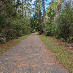 Lehigh Trail - Palm Coast