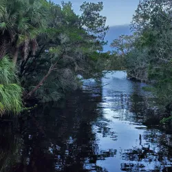 Palm Coast Linear Park - Palm Coast