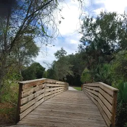 Palm Coast Linear Park - Palm Coast
