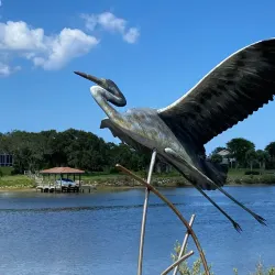 Palm Coast Linear Park - Palm Coast