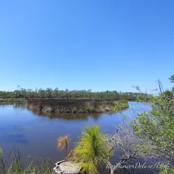 Princess Place Preserve - Palm Coast