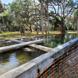 Princess Place Preserve - Palm Coast