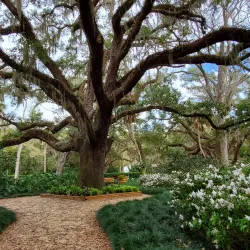 Washington Oaks Gardens State Park - Palm Coast