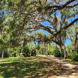 Washington Oaks Gardens State Park - Palm Coast
