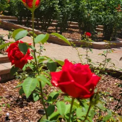Washington Oaks Gardens State Park - Palm Coast