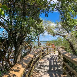 DeSoto National Memorial - Palmetto