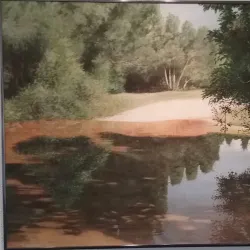 Palmetto Art Center - Palmetto