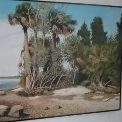 Palmetto Art Center - Palmetto