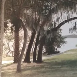 Palmetto Art Center - Palmetto