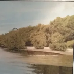 Palmetto Art Center - Palmetto