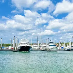 Palmetto Bay Marina - Palmetto