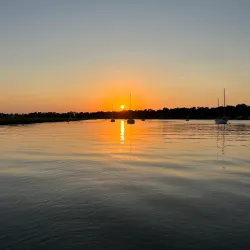 Palmetto Bay Marina - Palmetto