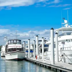 Palmetto Bay Marina - Palmetto