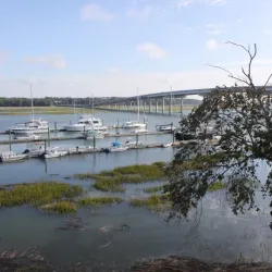 Palmetto Bay Marina - Palmetto