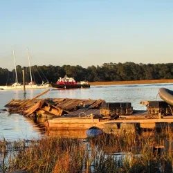 Palmetto Bay Marina - Palmetto
