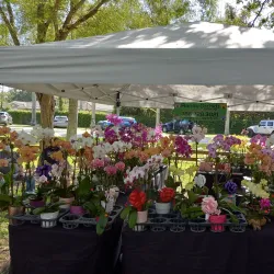 Palmetto Farmers Market - Palmetto