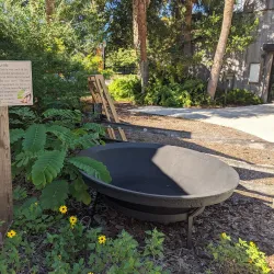 Palmetto Historical Park - Palmetto