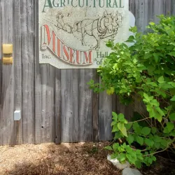 Palmetto Historical Park - Palmetto