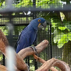 Flamingo Gardens - Pembroke Pines