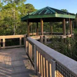 Hillsboro Pineland Natural Area - Pembroke Pines