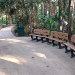 Hillsboro Pineland Natural Area - Pembroke Pines