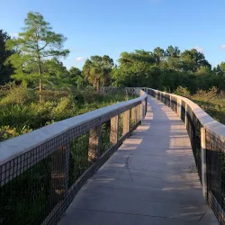 Hillsboro Pineland Natural Area - Pembroke Pines