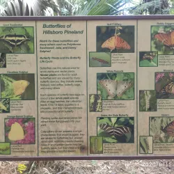 Hillsboro Pineland Natural Area - Pembroke Pines