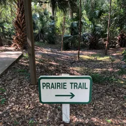Hillsboro Pineland Natural Area - Pembroke Pines
