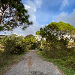 Hillsboro Pineland Natural Area - Pembroke Pines