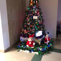 Pembroke Pines Historical Museum - Pembroke Pines