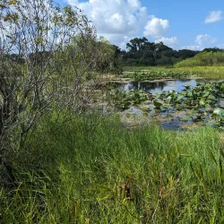 Snake Warrior's Island Park - Pembroke Pines