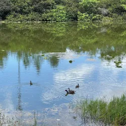 Snake Warrior's Island Park - Pembroke Pines