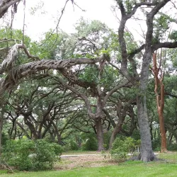 Snake Warrior's Island Park - Pembroke Pines