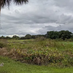 Snake Warrior's Island Park - Pembroke Pines
