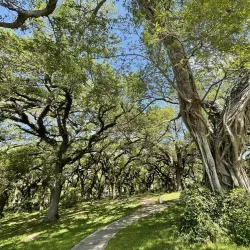 Snake Warrior's Island Park - Pembroke Pines